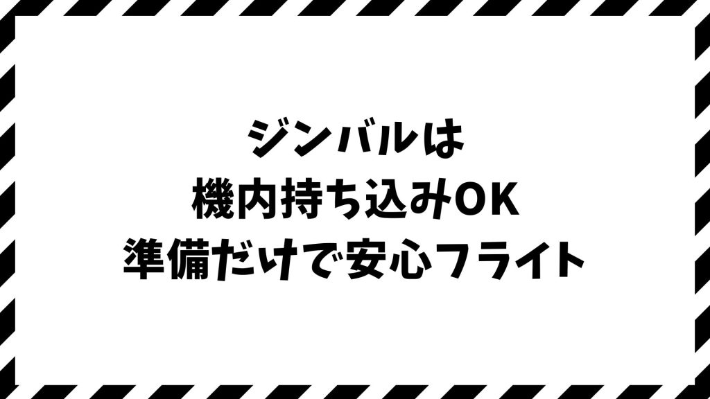 ジンバルは機内持ち込みOK！バッテリールール・空港検査も安心