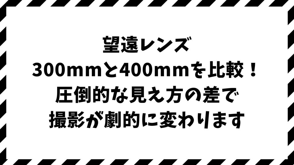 望遠レンズ300mmと400mmを比較！写り・距離・用途の違いがひと目でわかる選び方